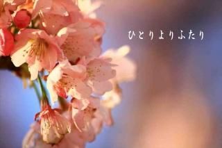 <img class='new_mark_img1' src='https://img.shop-pro.jp/img/new/icons1.gif' style='border:none;display:inline;margin:0px;padding:0px;width:auto;' />֤ҤȤդ׺ΥʸݥȥɳսϥϤ