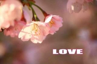 <img class='new_mark_img1' src='https://img.shop-pro.jp/img/new/icons1.gif' style='border:none;display:inline;margin:0px;padding:0px;width:auto;' />LOVE׺ΥʸݥȥɳսϥϤ