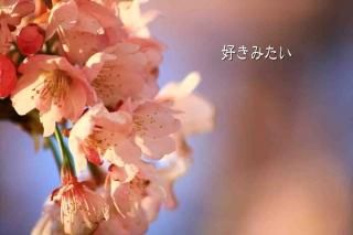 <img class='new_mark_img1' src='https://img.shop-pro.jp/img/new/icons1.gif' style='border:none;display:inline;margin:0px;padding:0px;width:auto;' />ֹߤ׺ΥʸݥȥɳսϥϤ