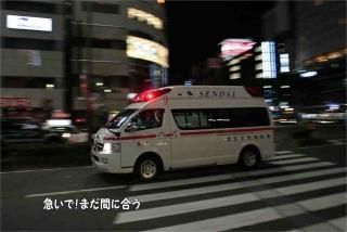 <img class='new_mark_img1' src='https://img.shop-pro.jp/img/new/icons1.gif' style='border:none;display:inline;margin:0px;padding:0px;width:auto;' />ֵޤǡޤ֤˹礦ߵ޼֤ʸݥȥɳսϥϤ