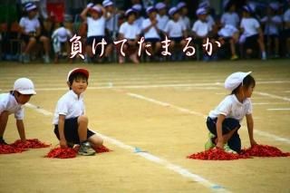 <img class='new_mark_img1' src='https://img.shop-pro.jp/img/new/icons1.gif' style='border:none;display:inline;margin:0px;padding:0px;width:auto;' />餱Ƥޤ뤫׾αưʸݥȥɳսϥϤ