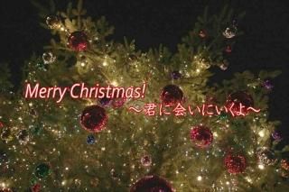 <img class='new_mark_img1' src='https://img.shop-pro.jp/img/new/icons1.gif' style='border:none;display:inline;margin:0px;padding:0px;width:auto;' />Merry Christmas˲񤤤ˤץꥹޥΥݥȥɳս񡡥ϥ