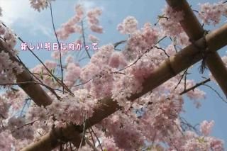 <img class='new_mark_img1' src='https://img.shop-pro.jp/img/new/icons1.gif' style='border:none;display:inline;margin:0px;padding:0px;width:auto;' />ֿ˸äơĶʸݥȥɳսϥϤ