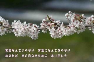 <img class='new_mark_img1' src='https://img.shop-pro.jp/img/new/icons1.gif' style='border:none;display:inline;margin:0px;padding:0px;width:auto;' />ָդʤƤʤȤФˤʤƤʤʤΤʤˤ꤬ȤĶʸݥȥɳսϥϤ