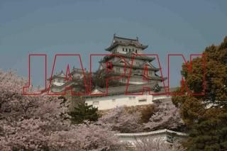 <img class='new_mark_img1' src='https://img.shop-pro.jp/img/new/icons1.gif' style='border:none;display:inline;margin:0px;padding:0px;width:auto;' />ݥȥɣɣҡڴѸϥ꡼ۡJAPANɱϩΥݥȥɳս񡡥ϥ