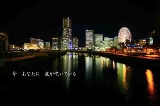 <img class='new_mark_img1' src='https://img.shop-pro.jp/img/new/icons1.gif' style='border:none;display:inline;margin:0px;padding:0px;width:auto;' />ֺʤˡᤤƤץɥޡߤʤȤߤ餤Υݥȥɳս񡡥ϥ