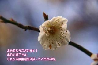 <img class='new_mark_img1' src='https://img.shop-pro.jp/img/new/icons1.gif' style='border:none;display:inline;margin:0px;padding:0px;width:auto;' />֤ǤȤޤǽλǤ줫ϻ᤭ĥäƤ͡ߤΥݥȥɳս񡡥ϥ