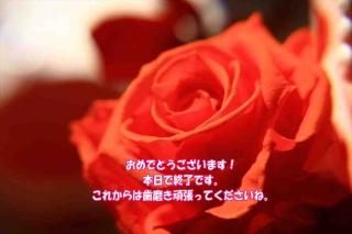 <img class='new_mark_img1' src='https://img.shop-pro.jp/img/new/icons1.gif' style='border:none;display:inline;margin:0px;padding:0px;width:auto;' />֤ǤȤޤǽλǤ줫ϻ᤭ĥäƤ͡鯤Υݥȥɳս񡡥ϥ