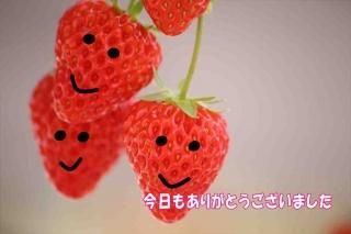 <img class='new_mark_img1' src='https://img.shop-pro.jp/img/new/icons1.gif' style='border:none;display:inline;margin:0px;padding:0px;width:auto;' />ڸդݥȥɣɣҡֺۡ⤢꤬ȤޤץΥݥȥɳսϤϥ