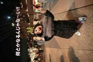 <img class='new_mark_img1' src='https://img.shop-pro.jp/img/new/icons1.gif' style='border:none;display:inline;margin:0px;padding:0px;width:auto;' />ڸդݥȥɣɣҡֲۡȤʤ󤸤ʡ׽λҤΥݥȥɳսϤϥ