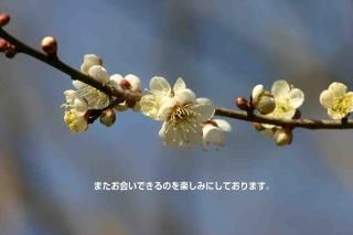 <img class='new_mark_img1' src='https://img.shop-pro.jp/img/new/icons1.gif' style='border:none;display:inline;margin:0px;padding:0px;width:auto;' />ڸդݥȥɣɣҡ֤ۡޤ񤤤ǤΤڤߤˤƤޤߤΥݥȥɳսϤϥ