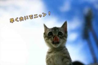 <img class='new_mark_img1' src='https://img.shop-pro.jp/img/new/icons1.gif' style='border:none;display:inline;margin:0px;padding:0px;width:auto;' />ڸդݥȥɣɣҡۡ᤯ǥ˥󡪡׻ǭΥݥȥɳսϤϥ