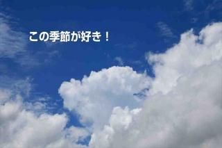 <img class='new_mark_img1' src='https://img.shop-pro.jp/img/new/icons1.gif' style='border:none;display:inline;margin:0px;padding:0px;width:auto;' />ݥȥɣɣҡڸդ֤ۡε᤬׶ΥݥȥɳսϤϥ