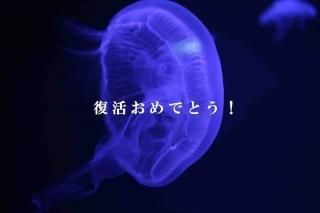 <img class='new_mark_img1' src='https://img.shop-pro.jp/img/new/icons1.gif' style='border:none;display:inline;margin:0px;padding:0px;width:auto;' />ڸդݥȥɣɣҡۡ褪ǤȤס饲γսϥpostcard-photo by MIRO