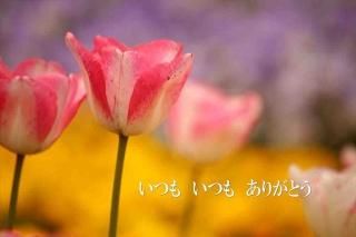 <img class='new_mark_img1' src='https://img.shop-pro.jp/img/new/icons1.gif' style='border:none;display:inline;margin:0px;padding:0px;width:auto;' />ڸդݥȥɣɣҡ֤ۡĤ⤤Ĥ⤢꤬Ȥץ塼åפγսϥϤ̵ͭ