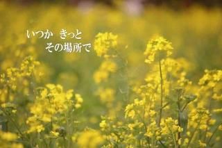 <img class='new_mark_img1' src='https://img.shop-pro.jp/img/new/icons1.gif' style='border:none;display:inline;margin:0px;padding:0px;width:auto;' />ڸդݥȥɣɣҡ֤ۡĤäȤξǡ׺ڤβ֤γսϥϤ̵ͭ