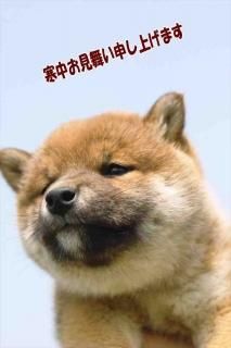 <img class='new_mark_img1' src='https://img.shop-pro.jp/img/new/icons1.gif' style='border:none;display:inline;margin:0px;padding:0px;width:auto;' />ΰݥȥɡڴ渫񤤤פȥ!׼Ƹ֤սϥϤ