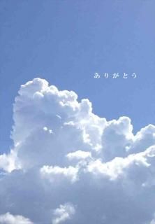 <img class='new_mark_img1' src='https://img.shop-pro.jp/img/new/icons1.gif' style='border:none;display:inline;margin:0px;padding:0px;width:auto;' />ڲƤΰݥȥɡ֤꤬ۡȤĶȱսϤphoto by MIRO