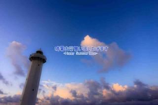 <img class='new_mark_img1' src='https://img.shop-pro.jp/img/new/icons1.gif' style='border:none;display:inline;margin:0px;padding:0px;width:auto;' />ڲƤΰݥȥɡֻۡĽ뤪񤤿夲ޤHappy Summer Days׵ܸս񡦥ϥphoto by MIRO