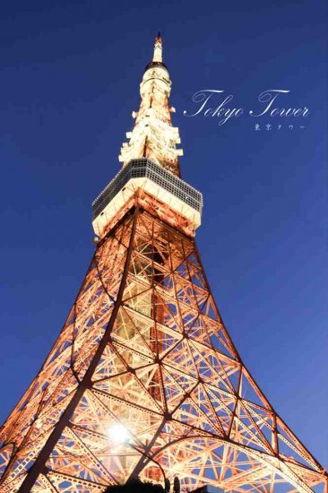 【日本の観光地ポストカード】「Tokyo Tower」夜の東京タワーのハガキ　photo by MIRO - Lac et Soleil　 ポストカードのAIR