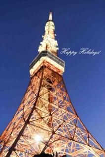 <img class='new_mark_img1' src='https://img.shop-pro.jp/img/new/icons1.gif' style='border:none;display:inline;margin:0px;padding:0px;width:auto;' />ڵΰݥȥɡۡHappy Hokidays! Υϥphoto by MIRO