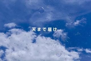 <img class='new_mark_img1' src='https://img.shop-pro.jp/img/new/icons1.gif' style='border:none;display:inline;margin:0px;padding:0px;width:auto;' />ʸΥݥȥɡۡŷޤϤĶ񤦡ܥ̤Υϥphoto by MIRO