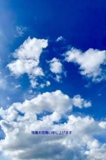 <img class='new_mark_img1' src='https://img.shop-pro.jp/img/new/icons1.gif' style='border:none;display:inline;margin:0px;padding:0px;width:auto;' />ڵΰݥȥɡֻۡĽ뤪񤤿夲ޤײƤĶ򤤱Υϥphoto by MIRO