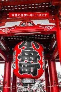 <img class='new_mark_img1' src='https://img.shop-pro.jp/img/new/icons1.gif' style='border:none;display:inline;margin:0px;padding:0px;width:auto;' />ڵΰݥȥɡֻۡĽ뤪񤤿夲ޤΥϥphoto by MIRO