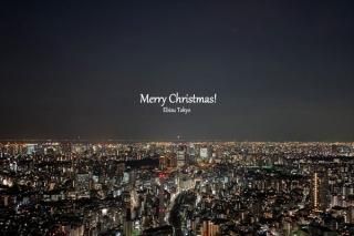 <img class='new_mark_img1' src='https://img.shop-pro.jp/img/new/icons1.gif' style='border:none;display:inline;margin:0px;padding:0px;width:auto;' />ڥꥹޥɡۡMerry Christmas Ebisu, Tokyoפս񡡥ϥphoto by MIRO
