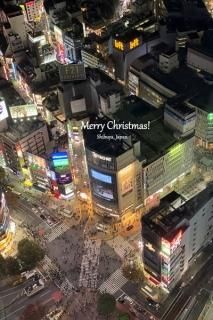 <img class='new_mark_img1' src='https://img.shop-pro.jp/img/new/icons1.gif' style='border:none;display:inline;margin:0px;padding:0px;width:auto;' />ڥꥹޥɡۡMerry Christmas Shibuya, Japan׽ë֥ս񡡥ϥphoto by MIRO