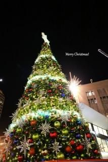 <img class='new_mark_img1' src='https://img.shop-pro.jp/img/new/icons1.gif' style='border:none;display:inline;margin:0px;padding:0px;width:auto;' />ڥꥹޥɡۡMerry Christmasץꥹޥĥ꡼ս񡡥ϥphoto by MIRO