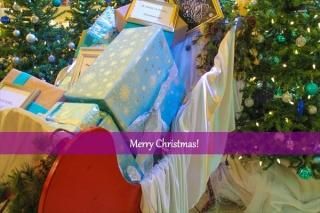 <img class='new_mark_img1' src='https://img.shop-pro.jp/img/new/icons1.gif' style='border:none;display:inline;margin:0px;padding:0px;width:auto;' />ڥꥹޥɡۡMerry Christmasץץ쥼ܤΥս񡡥ϥphoto by MIRO