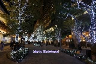 <img class='new_mark_img1' src='https://img.shop-pro.jp/img/new/icons1.gif' style='border:none;display:inline;margin:0px;padding:0px;width:auto;' />ڥꥹޥɡۡMerry Christmasëߥåɥս񡡥ϥphoto by MIRO