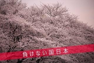 <img class='new_mark_img1' src='https://img.shop-pro.jp/img/new/icons1.gif' style='border:none;display:inline;margin:0px;padding:0px;width:auto;' />ݥȥɡۡ餱ʤܡ׾κʤ餱ʤջפս񡡥ϥphoto by MIRO