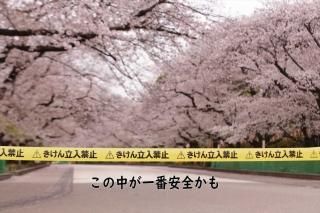 <img class='new_mark_img1' src='https://img.shop-pro.jp/img/new/icons1.gif' style='border:none;display:inline;margin:0px;padding:0px;width:auto;' />ݥȥɡ֤ۡ椬ְפΩػߤκʤս񡡥ϥphoto by MIRO