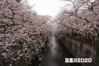 <img class='new_mark_img1' src='https://img.shop-pro.jp/img/new/icons1.gif' style='border:none;display:inline;margin:0px;padding:0px;width:auto;' />ݥȥɡܹۡ׺ս񡡥ϥphoto by MIRO