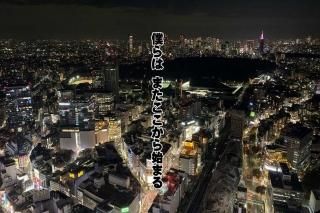 <img class='new_mark_img1' src='https://img.shop-pro.jp/img/new/icons1.gif' style='border:none;display:inline;margin:0px;padding:0px;width:auto;' />ڥбݥȥɡۡͤϡޤϤޤνëʤ˾Ȥϥphoto by MIRO