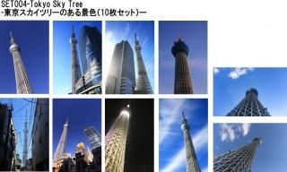 <img class='new_mark_img1' src='https://img.shop-pro.jp/img/new/icons1.gif' style='border:none;display:inline;margin:0px;padding:0px;width:auto;' />ܤʥݥȥ10祻åȡۥĥ꡼ΤʿΤϤϥս