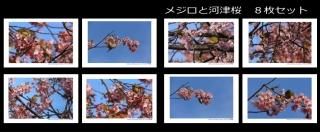 <img class='new_mark_img1' src='https://img.shop-pro.jp/img/new/icons1.gif' style='border:none;display:inline;margin:0px;padding:0px;width:auto;' />ڽաźȥ᥸8祻åȡ۲źˤȤޤ᥸ս񡦥ϥϤ