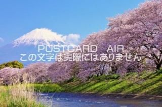 <img class='new_mark_img1' src='https://img.shop-pro.jp/img/new/icons1.gif' style='border:none;display:inline;margin:0px;padding:0px;width:auto;' />ܤʥݥȥɡٻλȺΰΤϤϥս  /YOSHIO IWASAWA