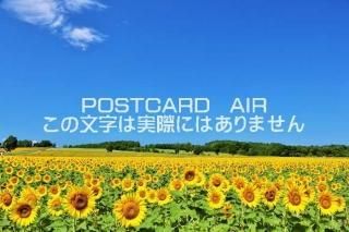 <img class='new_mark_img1' src='https://img.shop-pro.jp/img/new/icons1.gif' style='border:none;display:inline;margin:0px;padding:0px;width:auto;' />ܤʥݥȥɡ̳ƻƤĶΤҤޤꤿΤϤϥս  /YOSHIO IWASAWA