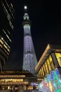 <img class='new_mark_img1' src='https://img.shop-pro.jp/img/new/icons1.gif' style='border:none;display:inline;margin:0px;padding:0px;width:auto;' /> ܤʥݥȥɡ۴츩¼սϥϤ photo by MIRO