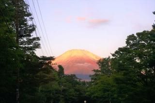 <img class='new_mark_img1' src='https://img.shop-pro.jp/img/new/icons1.gif' style='border:none;display:inline;margin:0px;padding:0px;width:auto;' />ܤʥݥȥɡīΥХ饤󤫤鸫ٻλսϥϤ photo by MIRO