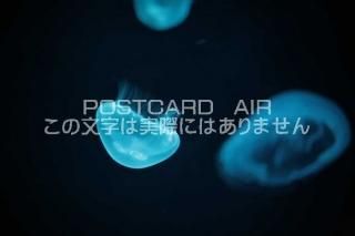 <img class='new_mark_img1' src='https://img.shop-pro.jp/img/new/icons1.gif' style='border:none;display:inline;margin:0px;padding:0px;width:auto;' />ʪΥݥȥAIRۥ饲սϥϤ photo by MIRO