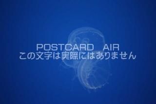 <img class='new_mark_img1' src='https://img.shop-pro.jp/img/new/icons1.gif' style='border:none;display:inline;margin:0px;padding:0px;width:auto;' />ʪΥݥȥAIRۥ饲սϥϤ photo by MIRO