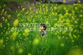 <img class='new_mark_img1' src='https://img.shop-pro.jp/img/new/icons1.gif' style='border:none;display:inline;margin:0px;padding:0px;width:auto;' />ڲ֤ΥݥȥAIRۺڤβ֤սϥϤ photo by MIRO
