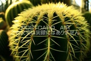 <img class='new_mark_img1' src='https://img.shop-pro.jp/img/new/icons1.gif' style='border:none;display:inline;margin:0px;padding:0px;width:auto;' />ڿʪΥݥȥAIRۥܥƥ󤵤ܤƤսϥϤ photo by MIRO