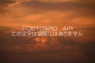 <img class='new_mark_img1' src='https://img.shop-pro.jp/img/new/icons1.gif' style='border:none;display:inline;margin:0px;padding:0px;width:auto;' />ڼΥݥȥAIR۶ȱսϥϤ photo by MIRO