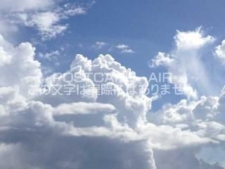 <img class='new_mark_img1' src='https://img.shop-pro.jp/img/new/icons1.gif' style='border:none;display:inline;margin:0px;padding:0px;width:auto;' />ڼΥݥȥAIRĶȱսϥϤ photo by MIRO