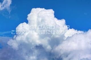 <img class='new_mark_img1' src='https://img.shop-pro.jp/img/new/icons1.gif' style='border:none;display:inline;margin:0px;padding:0px;width:auto;' />ڼΥݥȥAIRĶȱսϥϤ photo by MIRO